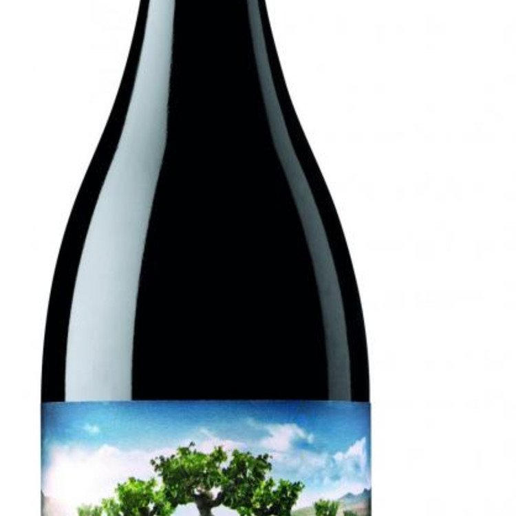 Garnacha Salvaje de Moncayo