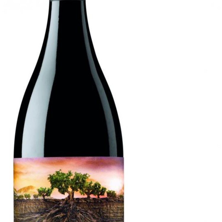 Garnacha Olvidada de Aragón